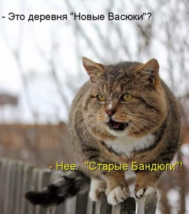 2689f68d486eee8fc05d4ea3a51_prev
