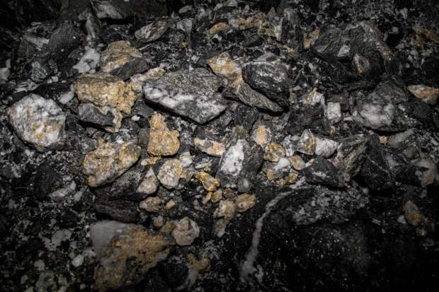 В Австралии найдены редкие золотые слитки стоимостью 1,9 млн $