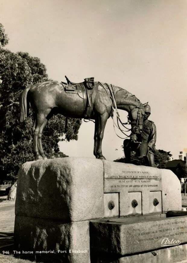 Галерея животных, втянутых людьми в мировую бойню Галерея животных, втянутых людьми в мировую бойню факты, мировая война, животные