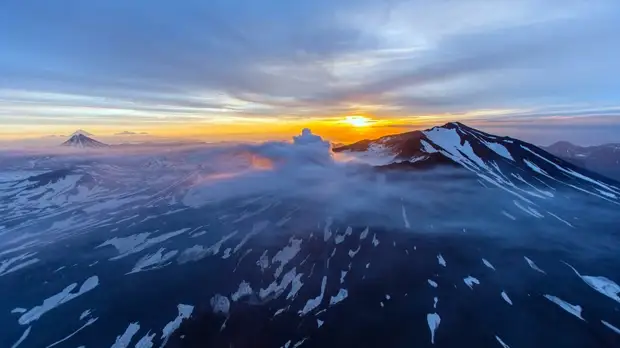 На Камчатке начал работу международный центр по реинтродукции и сохранению хищных птиц