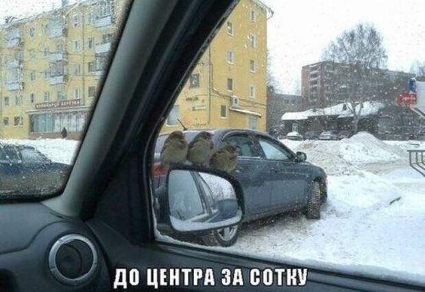 Автоприкольные картинки