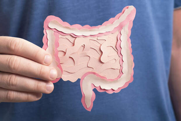 Gut Microbes: поломка гена PTPN2 ведет к воспалению кишечника