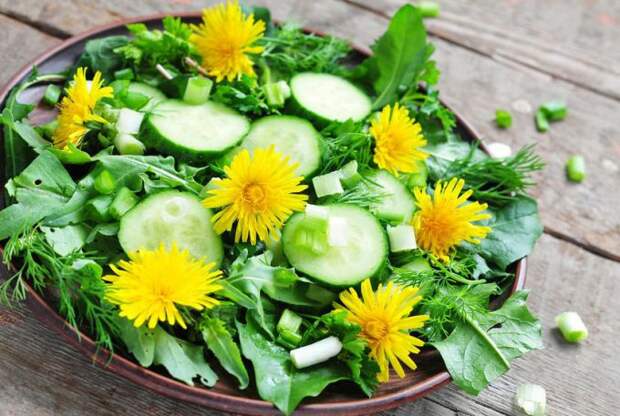 Салат из одуванчиков и свежих огурцов – витаминная бомба