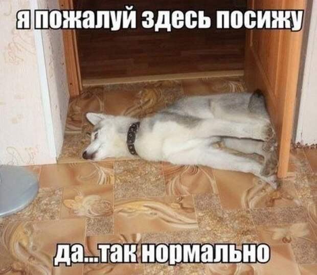 Самые прикольные картинки
