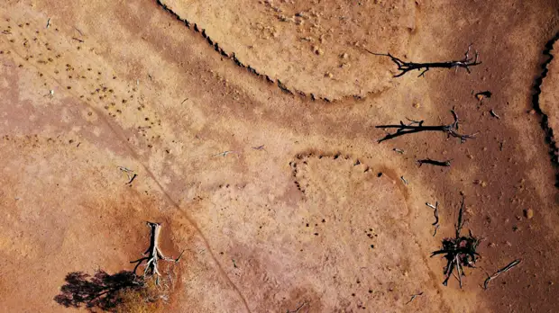 Намибия запросила гуманитарную помощь у России