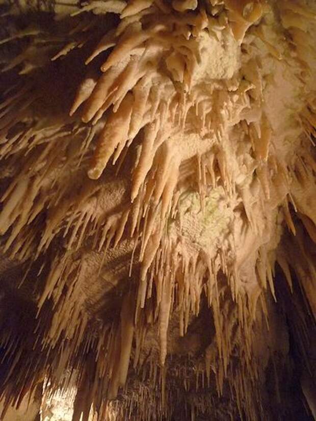 Пещеры Вайтомо. Фото:frischifresh / Foter.com / CC BY-NC-SA
