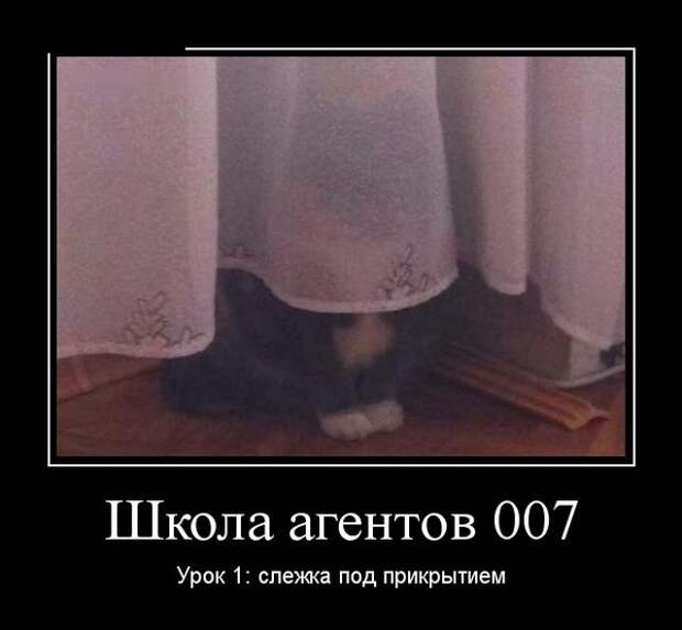 Веселые и забавные демотиваторы для хорошего настроения (11 фото) Веселые и забавные демотиваторы для хорошего настроения (11 фото)