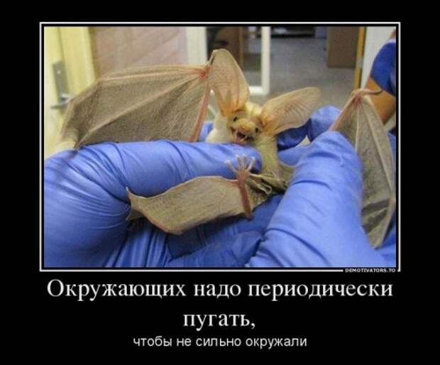 Демотиваторы-новинки (14 шт)
