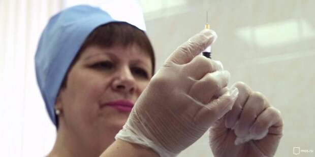 В мобильном пункте на улице Зорге пройдет вакцинация животных