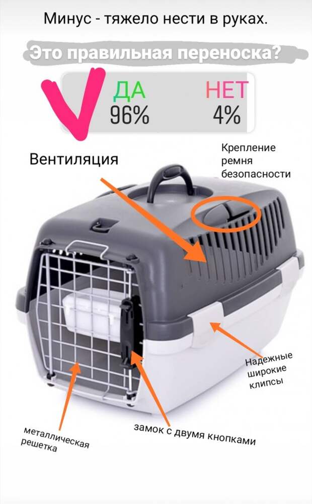 А у вас правильная переноска для кошки?