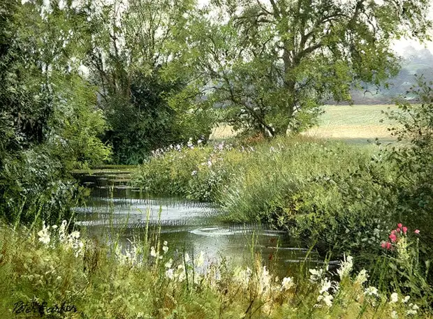  Peter Barker ( )