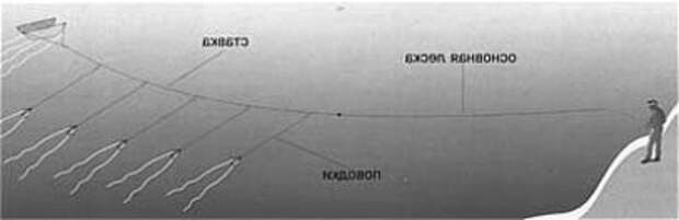 Крючки на стерлядь фото и описание