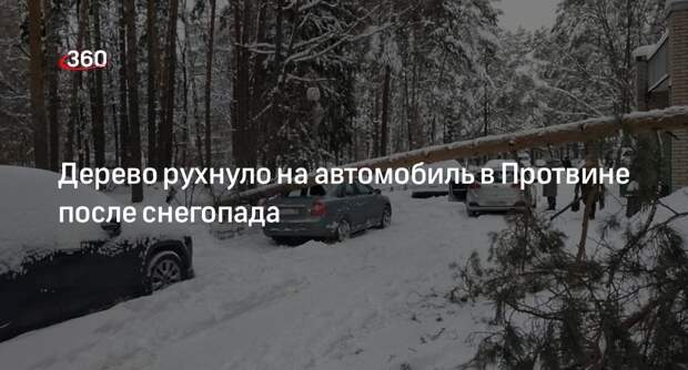 Дерево рухнуло на автомобиль в Протвине после снегопада