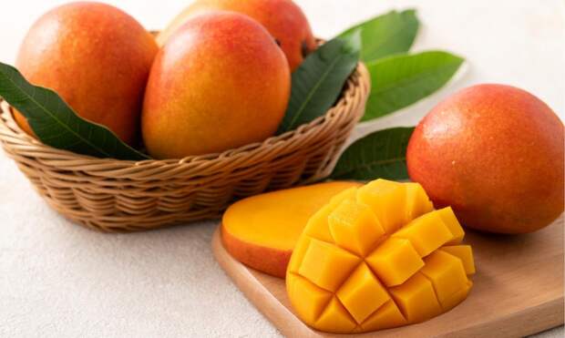 Можно ли заразиться вирусом Нипах от манго или фиников из Индии, ответили ученые