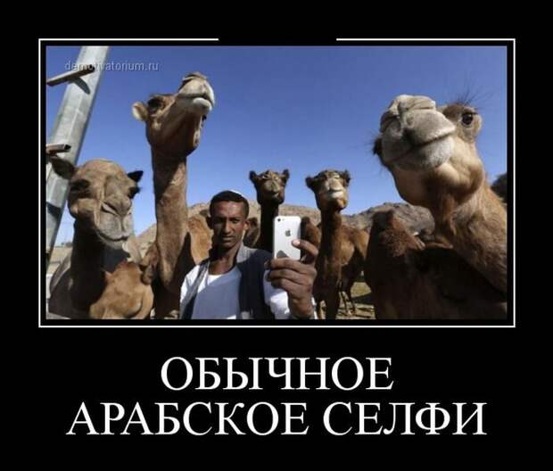 Где демотиваторы - там позитив!