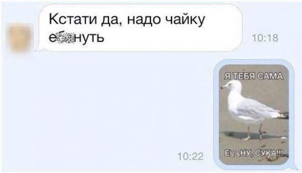 Смешные комментарии из социальных сетей