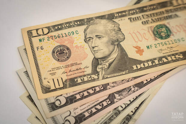 Курс доллара в этом году может подняться до 100 рублей – экономист