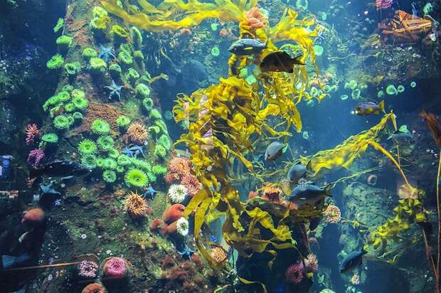 Ross G. Strachan Photography