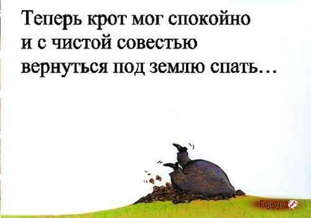 Неприятность с кротом