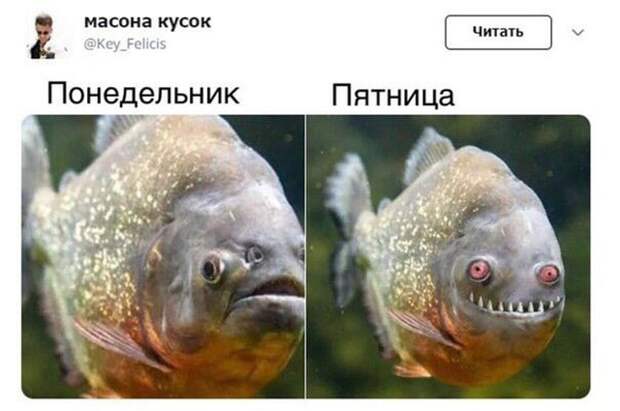 Подборка картинок. Дневной выпуск (24 фото)