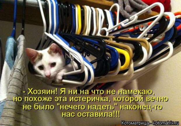 Котоматрицы(картинки с надписями)