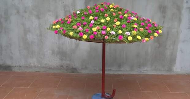 Необычная клумба в форме зонтика украсит сад и удивит всех соседей