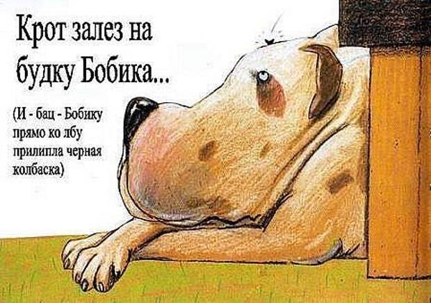 Неприятность с кротом