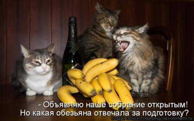 1359321619_96696260_large_1330447876__039 (570x356, 49Kb)