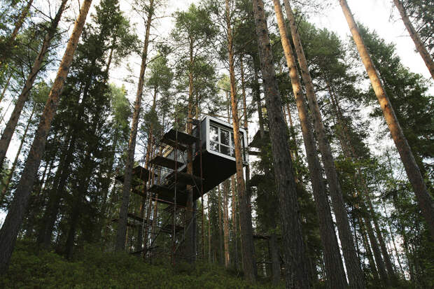 Хижина в лесу на севере Швеции