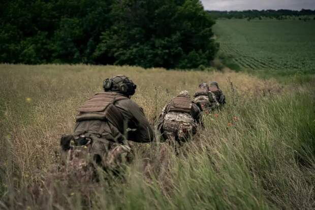 «Побегут при первой возможности»: Украинские военные не верят в задумку с