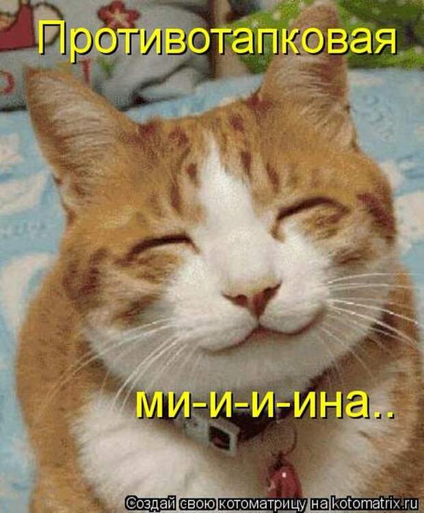 Лучшие котоматрицы недели Лучшие котоматрицы недели
