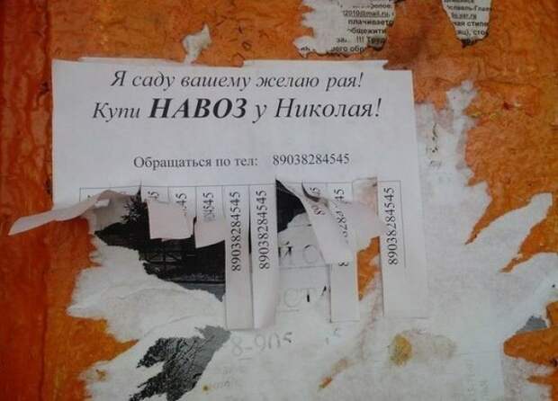 Забавные надписи и объявления Забавные надписи и объявления