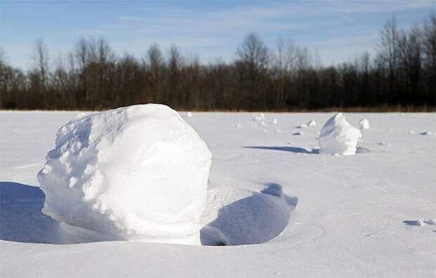Снежные "перекати-поле" (10 фото)