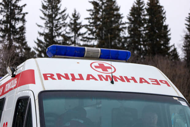 В российском городе зафиксировали два случая заболевания оспой обезьян