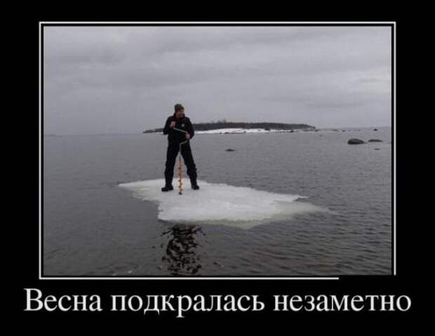 Самые позитивные демотиваторы дня (2014)