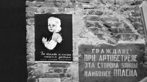 «Разорвал смертельную петлю»: как исход операции Красной армии «Искра» повлиял на спасение блокадного Ленинграда