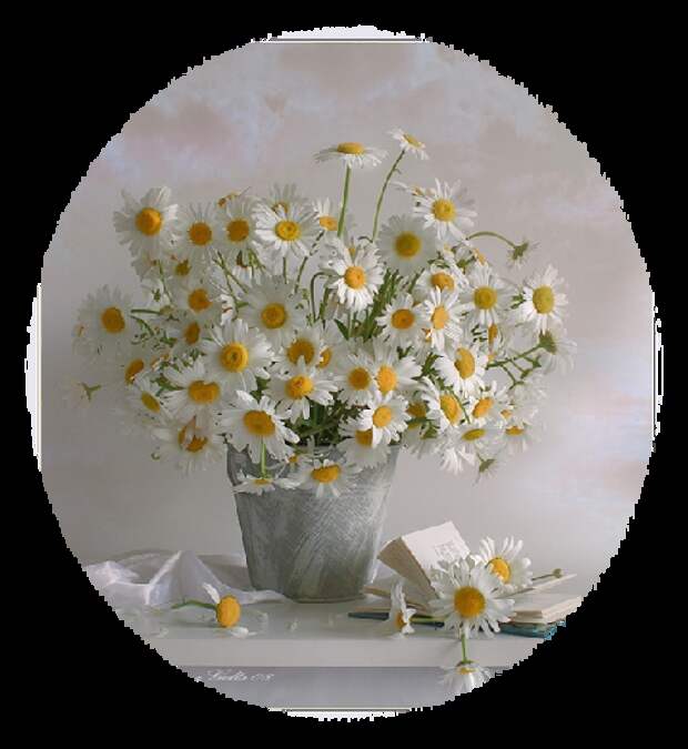 mod_article1368787_24 (500x545, 384Kb)