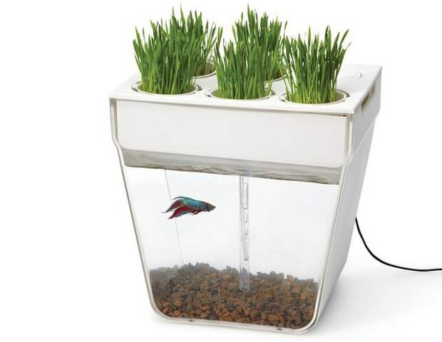 Aquafarm от Back To The Roots Aquafarm от Back To The Roots