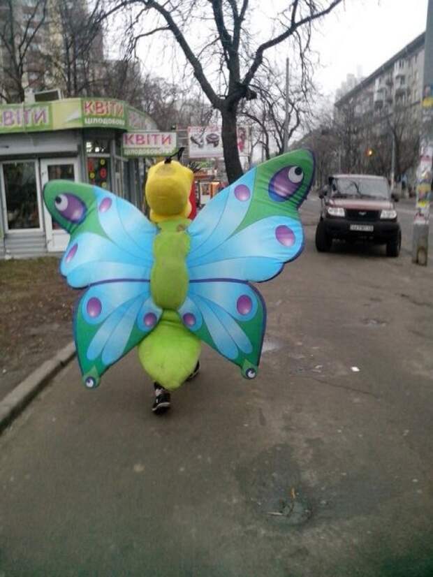 Картинки прикольные, смотри сейчас.