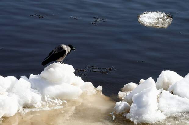 Ряд российских рек вскроется