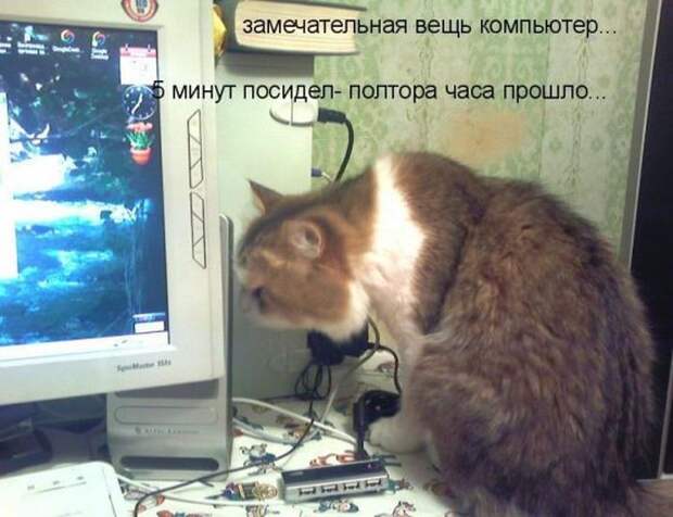 Мысли вслух :)