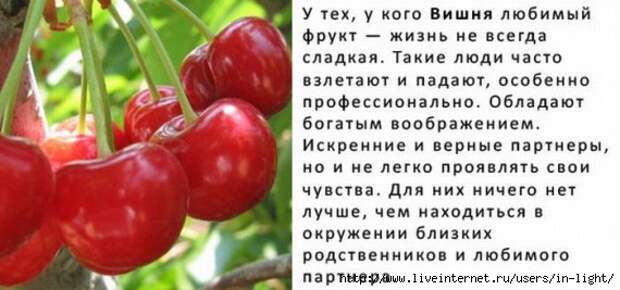 вишня (570x267, 105Kb)