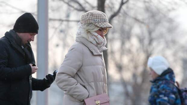 Сильные морозы прогнозируют в Подмосковье до вечера 20 января