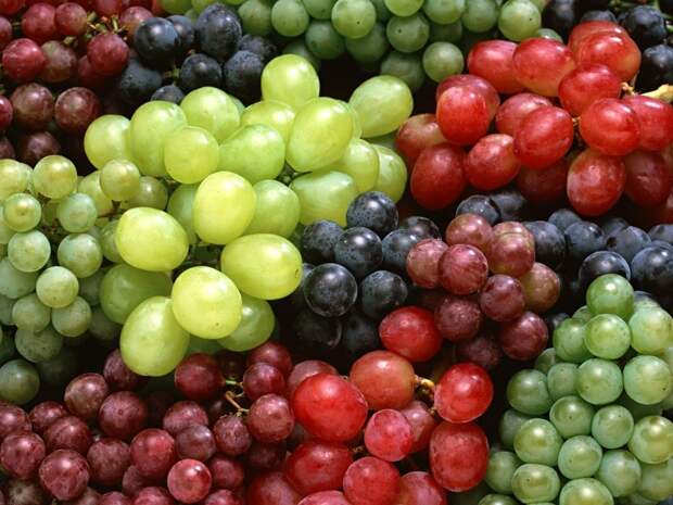 NewPix.ru - Вкусный и полезный виноград