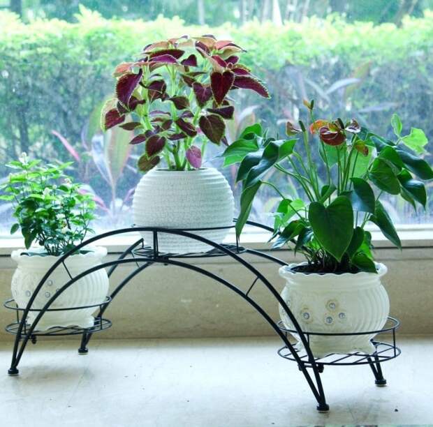 http://cpykami.ru/wp-content/uploads/2019/01/racks_for_flowers_by_own_hands_24.jpg