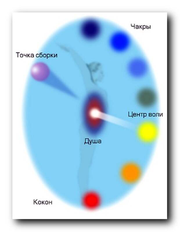 Точка сборки фото