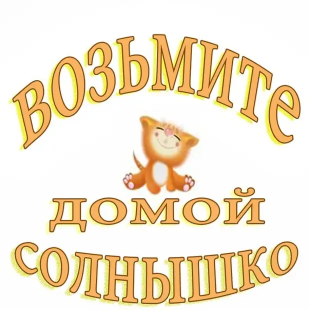 Нашла домой. Возьми меня домой. Возьмите солнышко домой. Рыжие солнышки ищут дом. Возьмите меня домой.