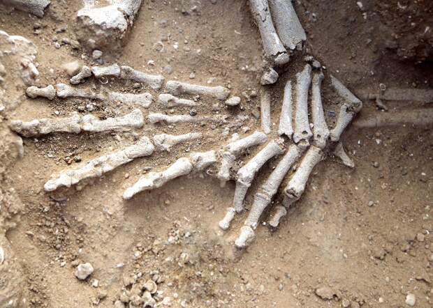 Detail of hands of in situ skeleton. Position suggests they had been bound