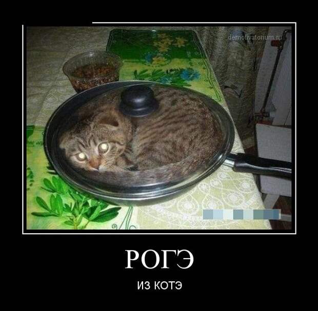 Обо всём.