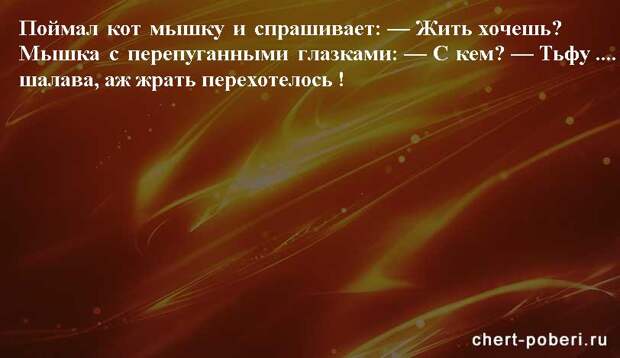 Самые смешные анекдоты ежедневная подборка chert-poberi-anekdoty-chert-poberi-anekdoty-49300623082020-2 картинка chert-poberi-anekdoty-49300623082020-2